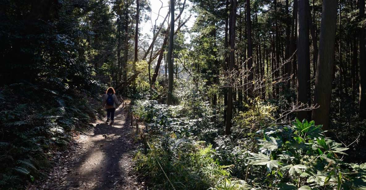 From Kamakura: Daibutsu Hiking Trail Tour with Local Guide - The Daibutsu Trail: Great Buddha to Jochi-ji by way of hillside steps