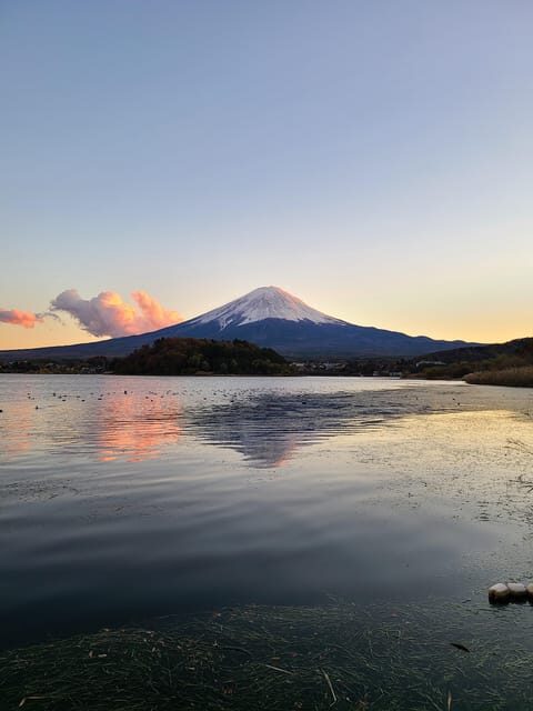 From Kawaguchiko: Mt. Fuji Private Tour with a Local Guide - Yagizaki Park to Lake Kawaguchi: Your Fuji View-Making Stretch