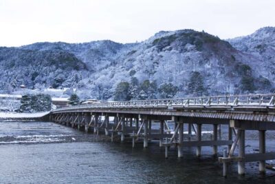 From Osaka: Kyoto & Nara Highlights Day Tour (7 attractions) - Nara Park and Todaiji: deer first, then a Great Buddha wow moment