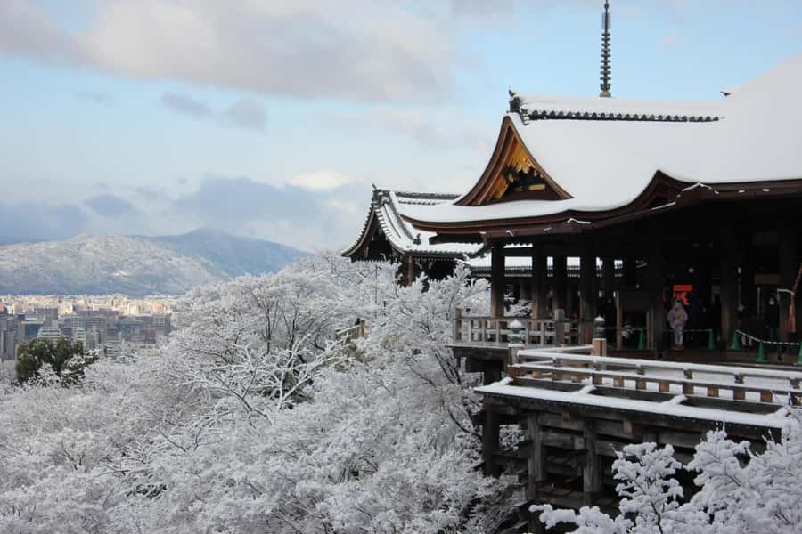From Osaka: Kyoto & Nara Highlights Day Tour (7 attractions) - Fushimi Inari Taisha: walking the torii tunnel without losing the magic
