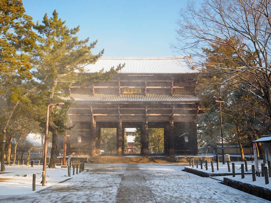 From Osaka: Kyoto & Nara Highlights Day Tour (7 attractions) - Price and value: what $53 buys you (and what it doesn’t)