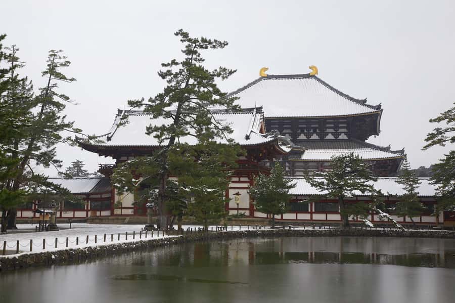 From Osaka: Kyoto & Nara Highlights Day Tour (7 attractions) - Timing, crowds, and the risk of feeling rushed