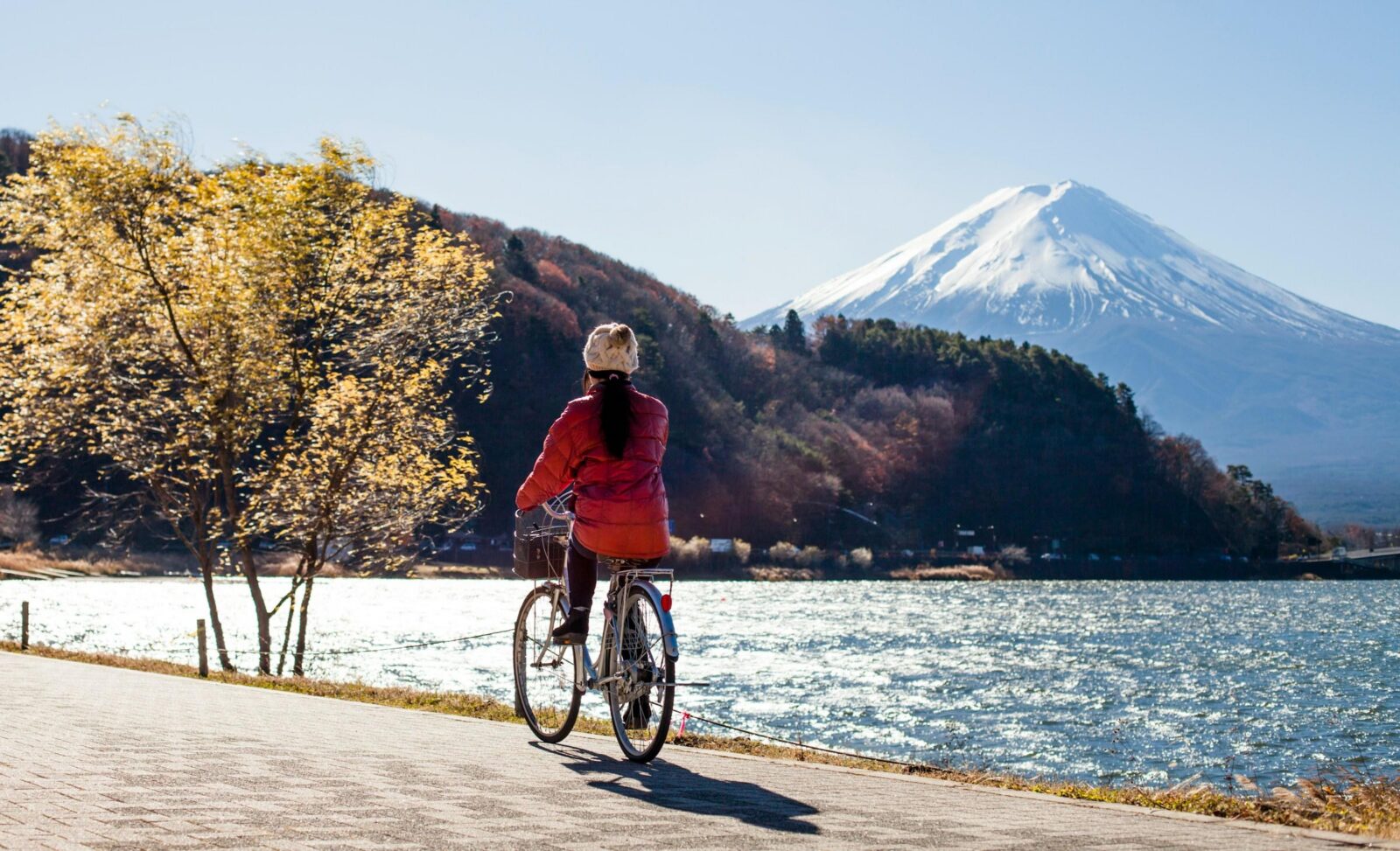 From Tokyo: 1 Full Day Mount fuji Sightseeing Trip - Should you book this Mount Fuji day trip from Tokyo?