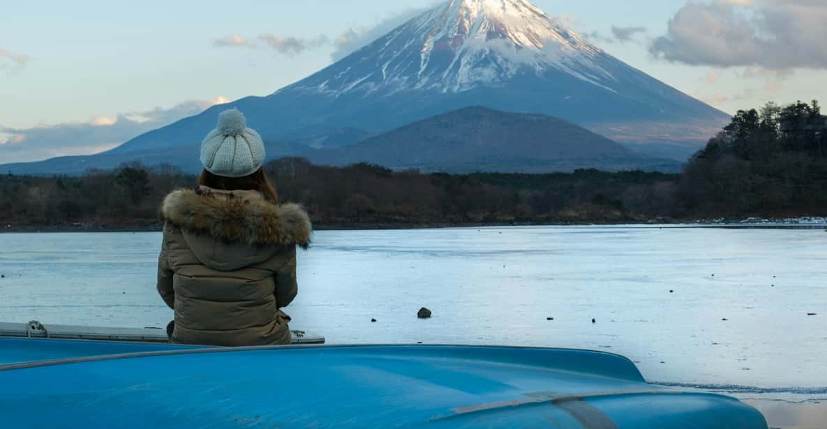 From Tokyo: 1 Full Day Mount fuji Sightseeing Trip - Price for a group of up to 7: when it feels like a deal