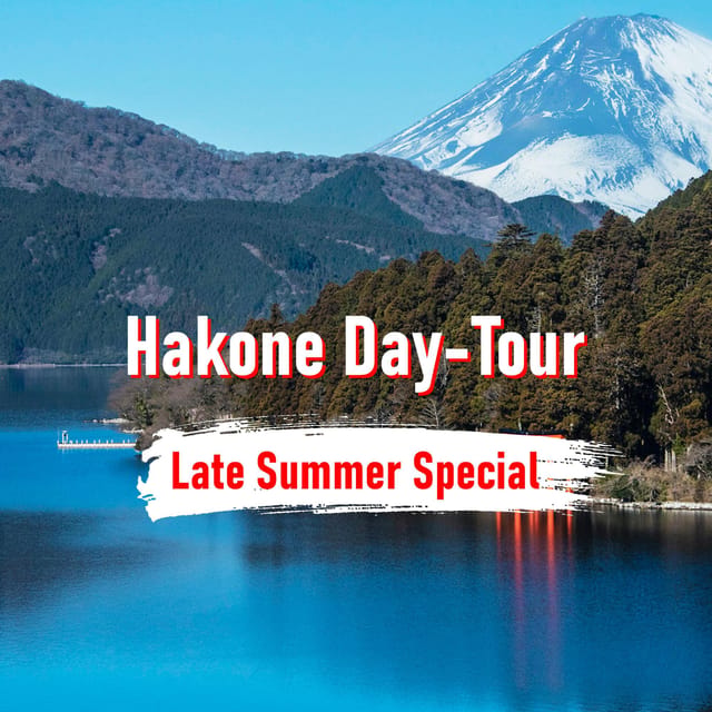 From Tokyo: 10-hour Hakone Private Custom Tour - Why a Private Car Makes Hakone Feel Straightforward