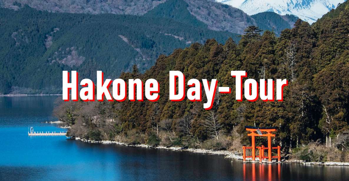 From Tokyo: 10-hour Hakone Private Custom Tour - Hakone Shrine: A Classic Pairing for a Meaningful Stop