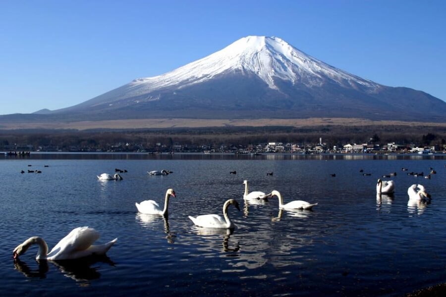 From Tokyo: Fuji Mountain Area - FujiQ - Lake Kawaguchiko - Chureito Pagoda - A Tokyo-to-Fuji Day That Feels Smooth From the First Minute