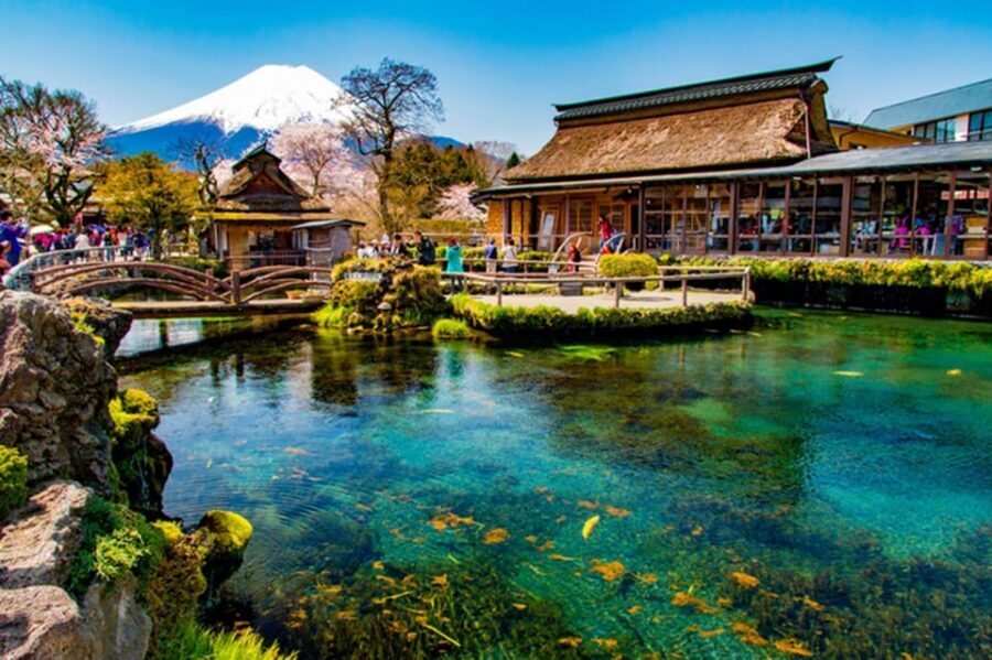 From Tokyo: Fuji Mountain Area - FujiQ - Lake Kawaguchiko - Chureito Pagoda - Oshino Hakkai: Fuji’s Meltwater Springs and Village Strolls