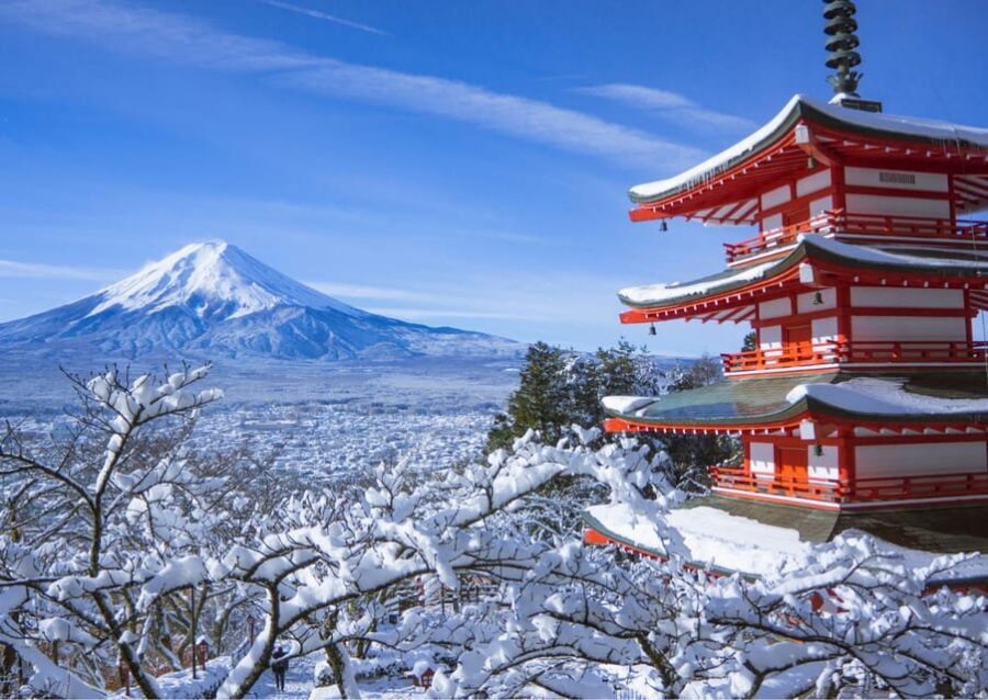 From Tokyo: Fuji Mountain Area - FujiQ - Lake Kawaguchiko - Chureito Pagoda - Who This Tour Fits Best (And Who Might DIY)