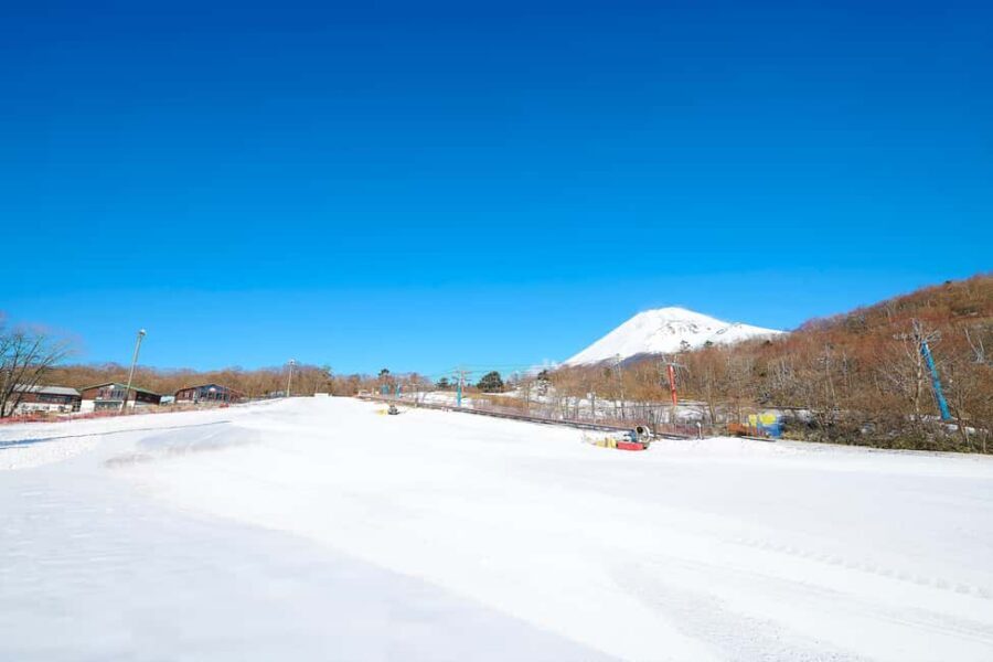 From Tokyo : Fujiyama Snow Resort Yeti Day Tour - Key Highlights You’ll Actually Care About
