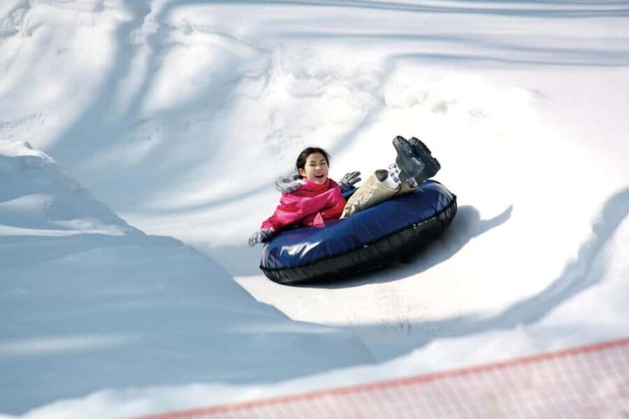 From Tokyo: Fujiyama Snow Resort Yeti Winter Ski Day Tour - Safety realities: busy slopes, gear rules, and kids