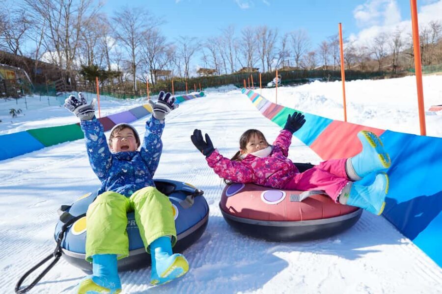 From Tokyo: Fujiyama Snow Resort Yeti Winter Ski Day Tour - Price and value: when $49 makes sense and when it doesn’t