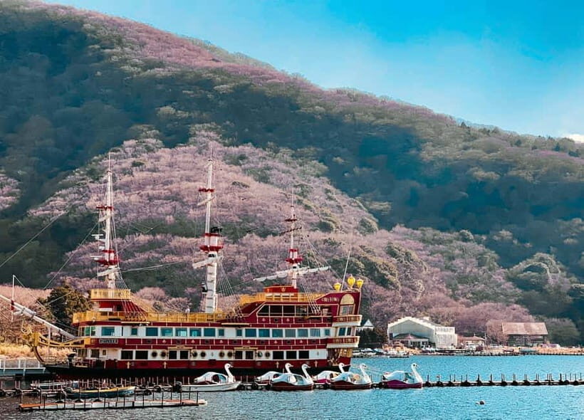 From Tokyo: Hakone Day Trip with English Speaking Driver - Tokyo Pickup to Hakone Ropeway: Fewer Transfers, More Looking