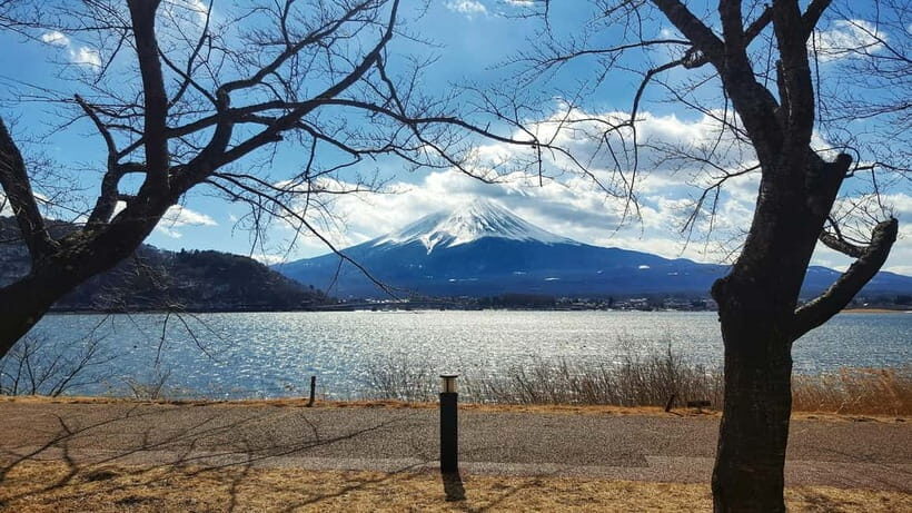From Tokyo: Hakone Day Trip with English Speaking Driver - Hakone Shrine Stop: A Cultural Brake Before the Drive Back