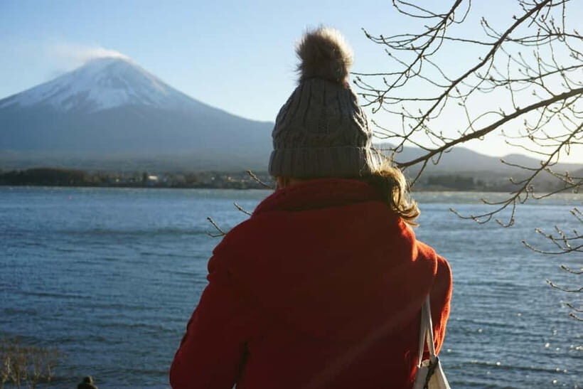 From Tokyo: Hakone Day Trip with English Speaking Driver - Price and Value: Is $458 Worth It for Your Group?