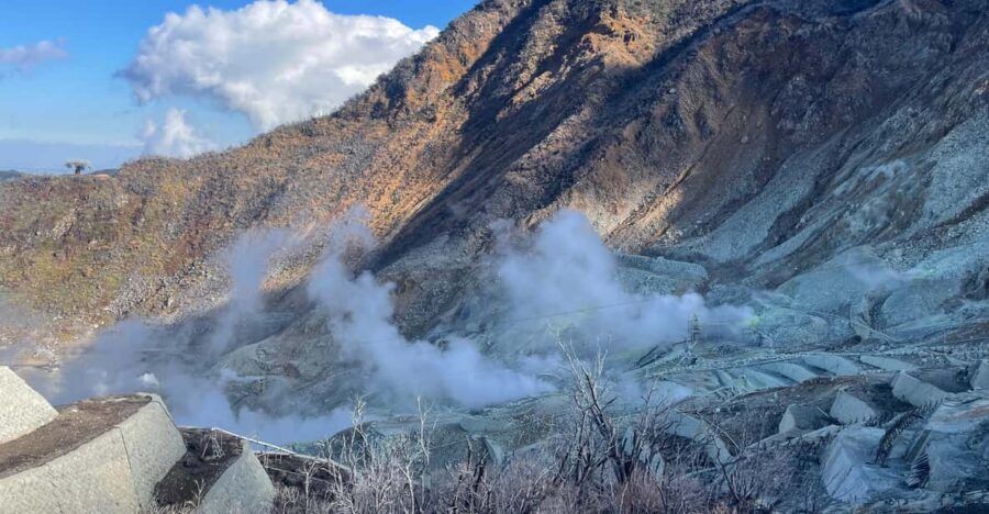 From Tokyo: Hakone Full Day Customizable Private Tour - Hakone Shrine: Your First Taste of Calm and Tradition