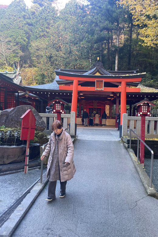 From Tokyo: Hakone Full Day Customizable Private Tour - Lake Ashi Cruise: A Different Kind of Mount Fuji Moment