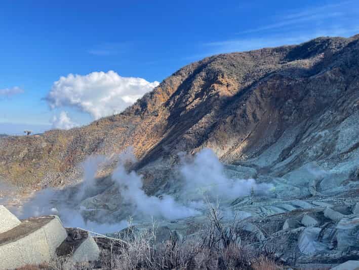 From Tokyo: Hakone Full Day Customizable Private Tour - Owakudani Valley: Volcanic Steam and Instant Drama
