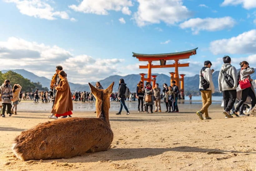 From Tokyo: Hiroshima and Miyajima Day Trip by Bullet Train - Key moments you’ll remember