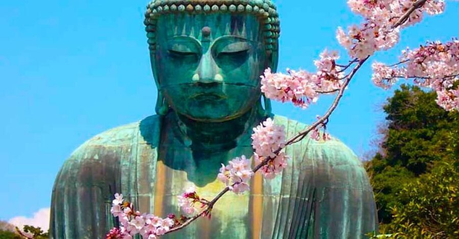 From Tokyo: Kamakura and Enoshima Full-Day Private Trip - Hase-dera’s Gardens and Coastal Views: Where the Atmosphere Changes