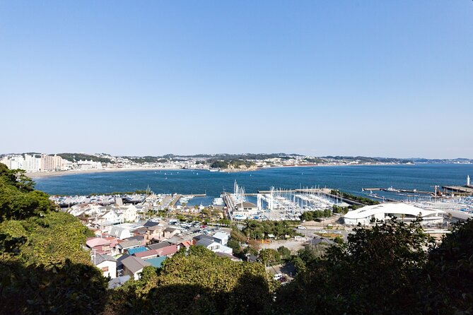 From Tokyo: Kamakura & Enoshima 1-Day Bus Tour - Getting from Tokyo: Shinjuku meet-up and the bus mindset
