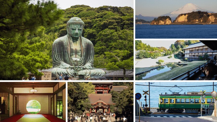 From Tokyo: Kamakura Full Day Tour with a Local Expert Guide - From Tokyo to Kamakura: How the 8 hours are paced