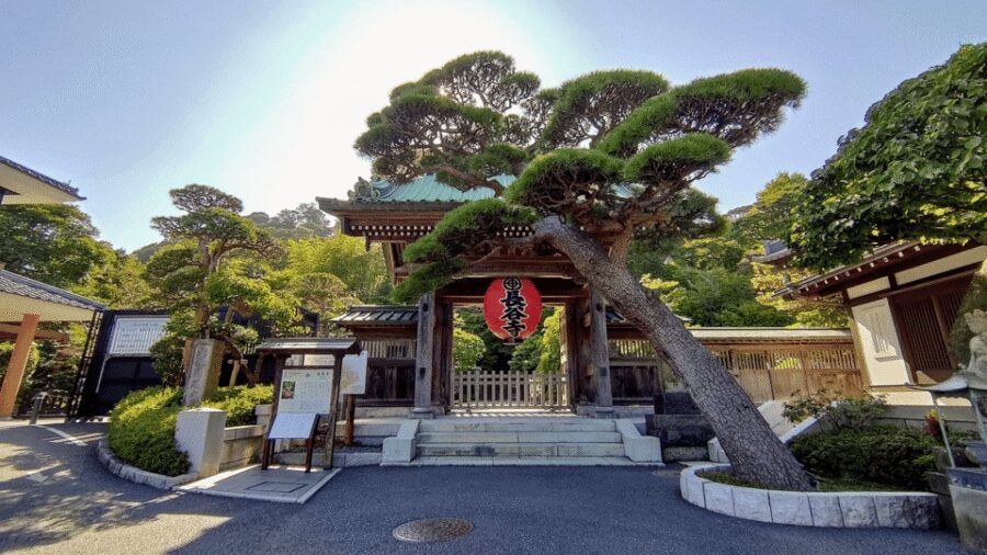 From Tokyo: Kamakura Full Day Tour with a Local Expert Guide - Should you book this Kamakura full day tour from Tokyo?