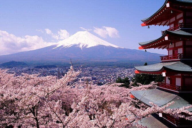 From Tokyo Kamakura, Hachimangu Shrine and Enoshima Full Day Tour - Hase Station and the Enoden train ride: the slow coastal break