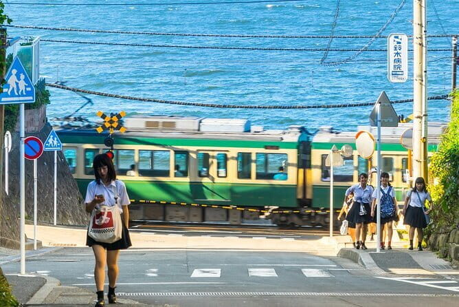 From Tokyo Kamakura, Hachimangu Shrine and Enoshima Full Day Tour - Guides and pacing: why this tour feels easier than DIY