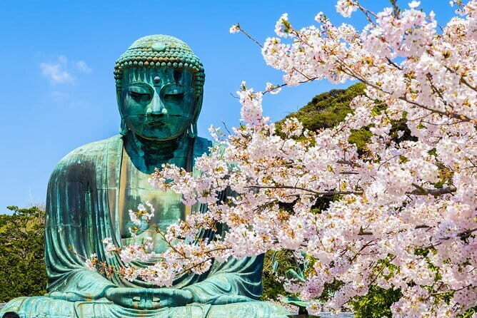 From Tokyo Kamakura, Hachimangu Shrine and Enoshima Full Day Tour - Kotoku-in Great Buddha: a big first impression (but plan for the ticket)