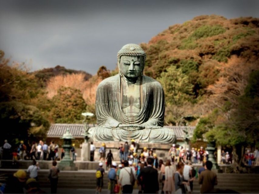 From Tokyo: Kamakura Private Customize Tour by Luxury Van - Key highlights you’ll actually feel during the day