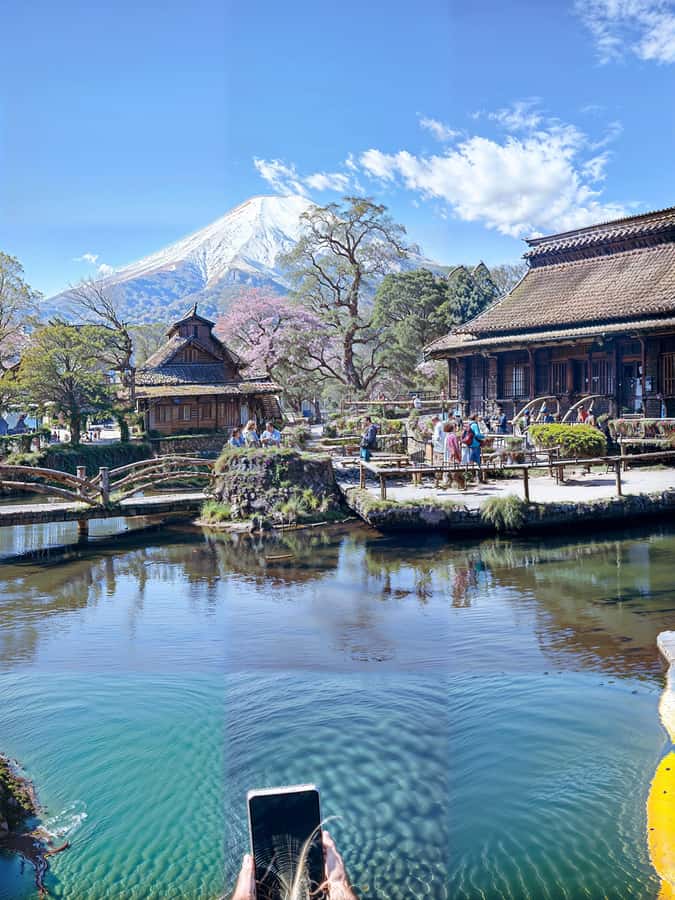 From Tokyo: Mount Fuji and Hakone Private Day Trip - Quick hits: what’s actually special here