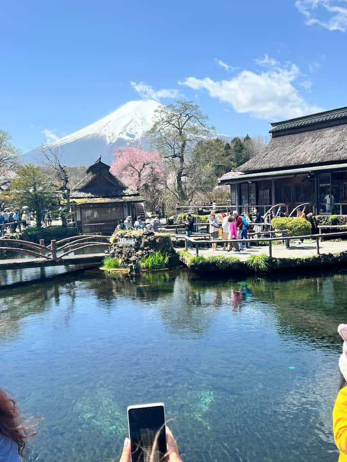 From Tokyo: Mount Fuji and Hakone Private Day Trip - Weather reality: what to do when Fuji hides