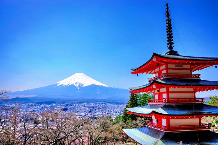 From Tokyo: Mount Fuji and Hakone Private Day Trip - Why a private Fuji–Hakone day works so well for real schedules