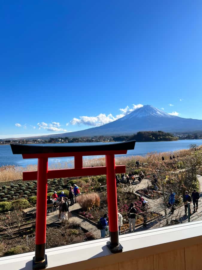From Tokyo: Mount Fuji and Hakone Private Day Trip - Oshino Hakkai: eight ponds of Fuji snowmelt calm