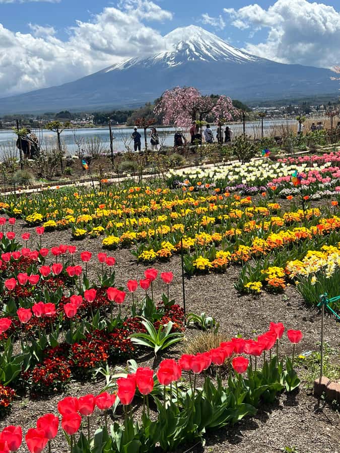 From Tokyo: Mount Fuji and Hakone Private Day Trip - Lake Ashi cruise: when the scenery finally slows down