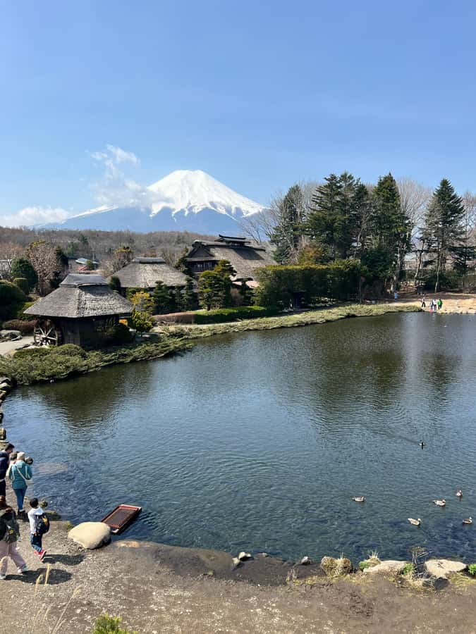 From Tokyo: Mount Fuji and Hakone Private Day Trip - Hakone Open Air Museum: art, walking, and a break from photo mode