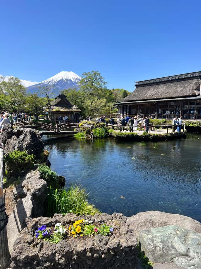 From Tokyo: Mount Fuji and Hakone Private Day Trip - Price and value: what the $438 actually buys (and what it doesn’t)