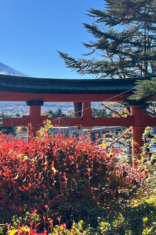 From Tokyo MOUNT FUJI and Lake Kawaguchi-ku Full Day Tour - What to watch for: weather, walking, and who this fits