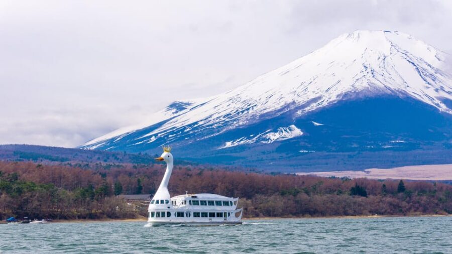 From Tokyo: Mount Fuji, Cruise and Sake Tour - Key points before you go