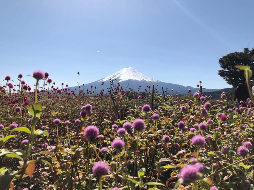 From Tokyo: Mount Fuji, Cruise and Sake Tour - Price and value: is $120 reasonable for a 10-hour Fuji day?