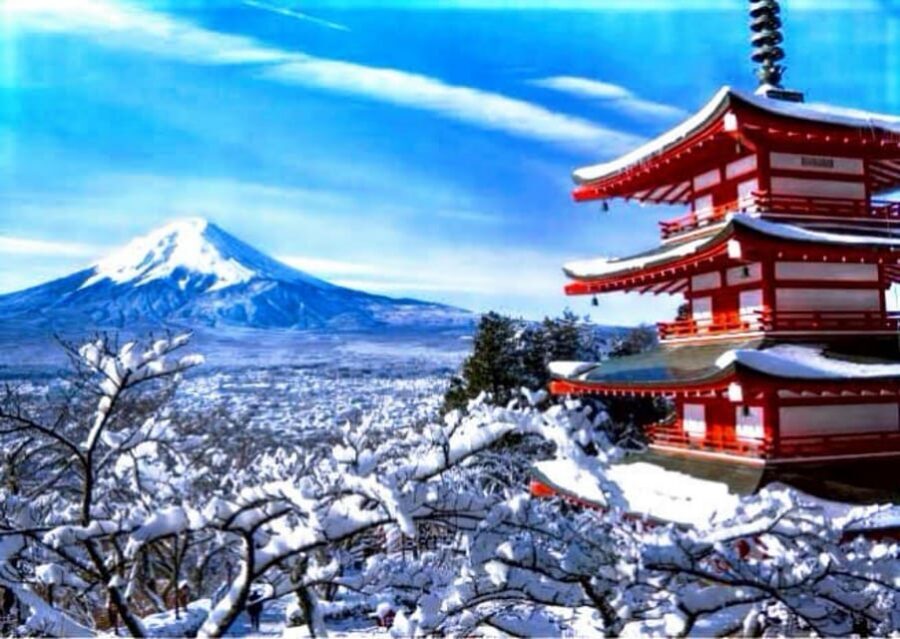 From Tokyo: Mount Fuji Full Customized Tour English Guide - Chureito Pagoda: photo time with a real-world plan