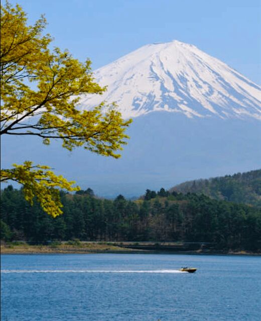 From Tokyo: Mount Fuji Full-Day Customizable Private Tour - Who This Private Tour Is Best For (and Who Should Skip It)