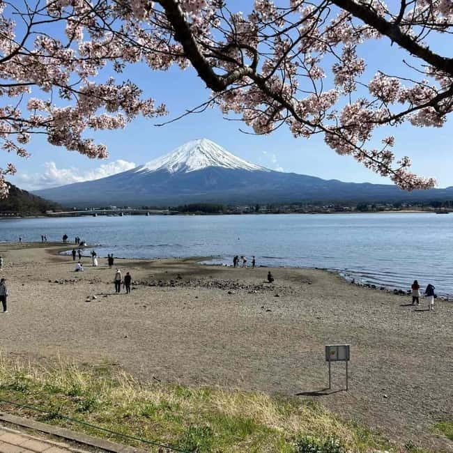 From Tokyo: Mount Fuji Full Day Private Tour (Customizable) - The Fuji viewpoint loop: Arakurayama Sengen Park and Chureito Pagoda