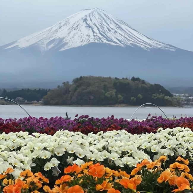 From Tokyo: Mount Fuji Full Day Private Tour (Customizable) - Lake Kawaguchi: choose your pace with boat or ropeway