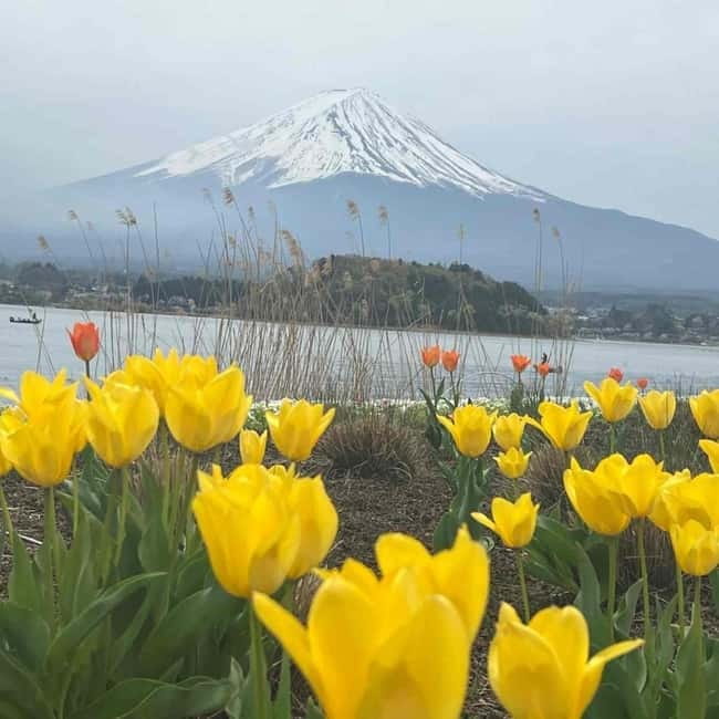 From Tokyo: Mount Fuji Full Day Private Tour (Customizable) - Oshino Hakkai: traditional village time without the stress