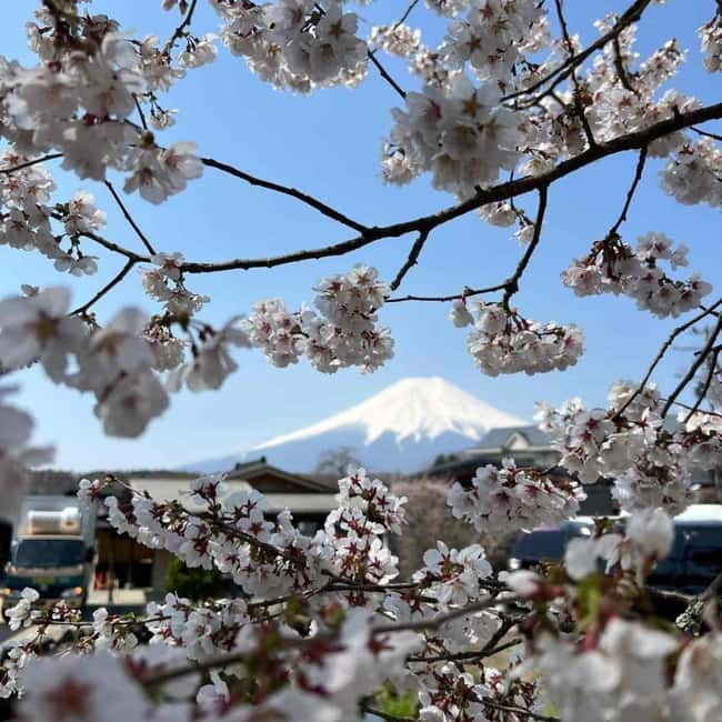From Tokyo: Mount Fuji Full Day Private Tour (Customizable) - Oishi Park and Kitaguchi-hongu Fuji Sengen Shrine: photos plus quiet moments
