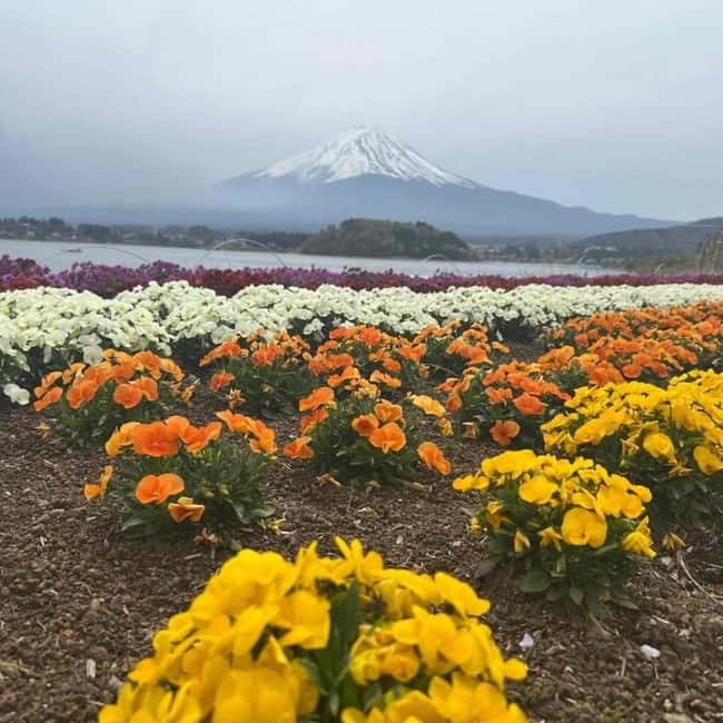 From Tokyo: Mount Fuji Full Day Private Tour (Customizable) - Lunch: a real break (with vegetarian and kid-friendly options)