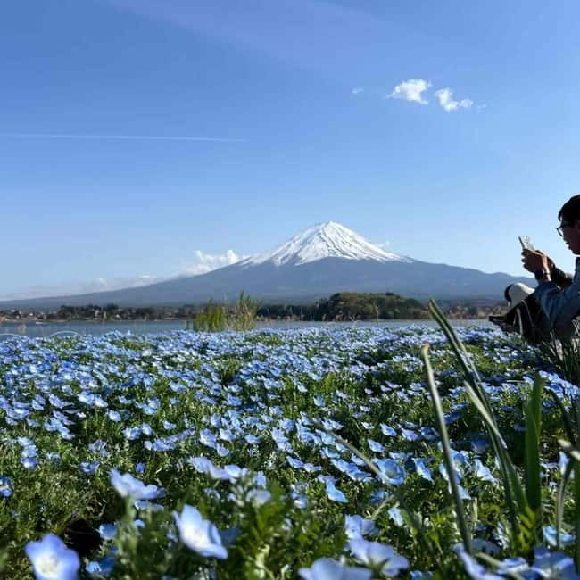 From Tokyo: Mount Fuji Full Day Private Tour (Customizable) - Optional Hakone: when you want more than Fuji