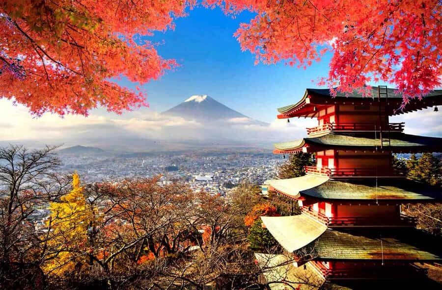 From Tokyo: Mount Fuji Full Day Private Tour English Guide - Key Things I’d Not Miss on This Private Fuji Tour